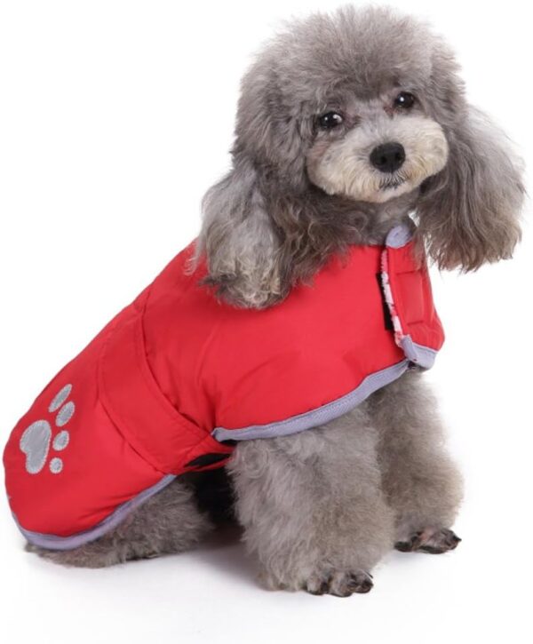 Pets.Love.Earth Reversible Jacket With Reflective Edging Red