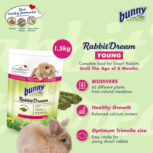 Bunny Nature Rabbit Dream Young - Image 2