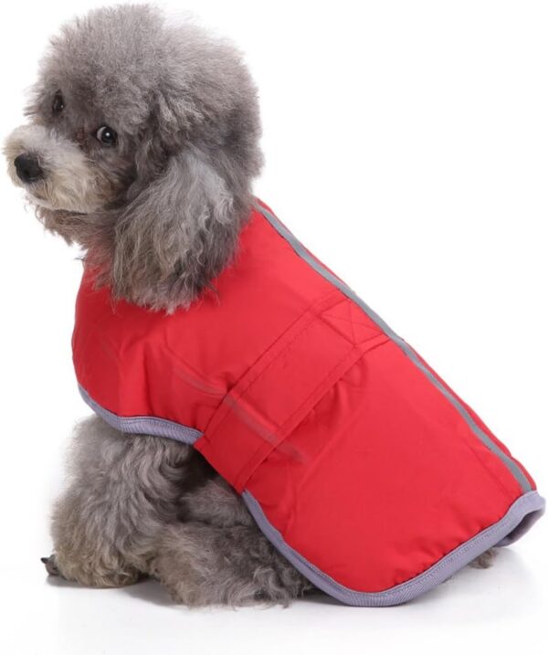 Pets.Love.Earth Reversible Jacket With Reflective Edging Red - Image 2