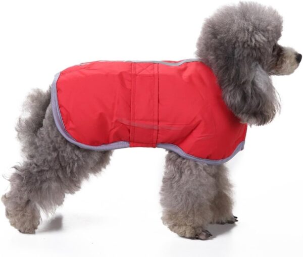 Pets.Love.Earth Reversible Jacket With Reflective Edging Red - Image 3