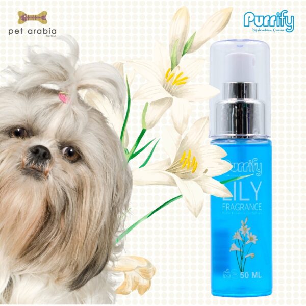 Purrify Floral Essence Oil Spray Lily Fragrance 50Ml - Image 2