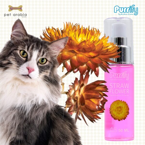 Purrify Floral Essence Oil Spray Straw Flower 50Ml - Image 2