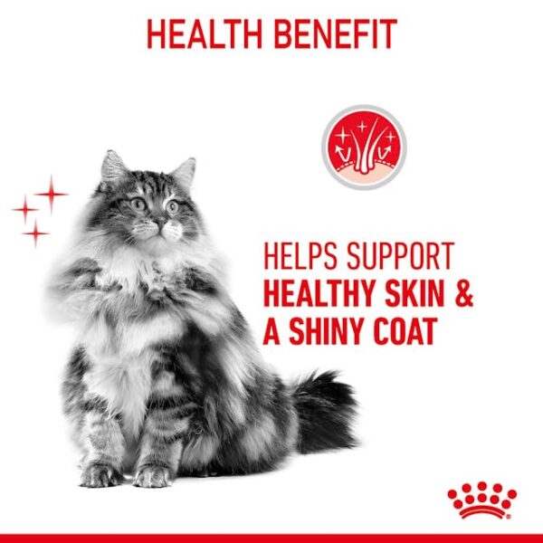 Royal Canin Pouch Hair & Skin Jelly Formula For Adult Cats - Image 3