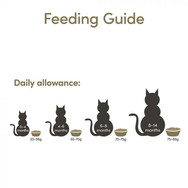 Applaws Chicken Dry Kitten Food, 7.5 Kg - Image 3