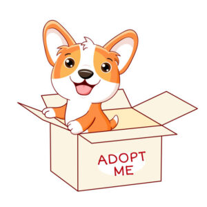 Adopt Dog