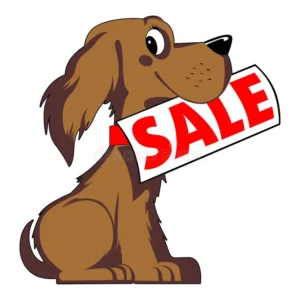 Dog for sale